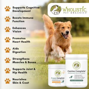 Wholistic Canine Complete with Organic Pumpkin for Dogs - 1 Lb - Dog Vitamins and Supplements with Pumpkin Powder for Digestion, Skin & Coat Health - Multivitamin for Dogs with Probiotics & Fiber