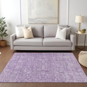 Addison Rugs Chantille ACN611 Lilac 8' x 10' Indoor Outdoor Area Rug, Easy Clean, Machine Washable, Non Shedding, Bedroom, Living Room, Dining Room, Kitchen, Patio Rug