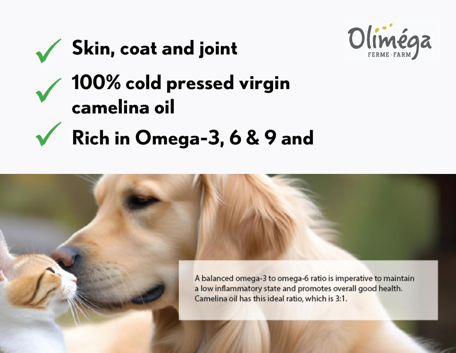 Camelina Oil for Dogs & Cats, 500mL by Olimega Farm | High in Omega-3 & Vitamin E | Support for Healthy Joints, Coat & Skin | Alternative to Salmon Oil for Dogs | Made in Canada | Non-GMO