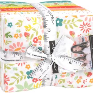 Strawberry Lemonade AB Bundle by Sherri & Chelsi, 31 18-inch by 22-inch Precut Fabric Fat Quarters