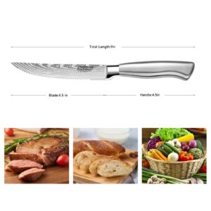 SCOLE® Steak Knives, 4.5 inches Steak Knife Set of 6, Dishwasher Safe Serrated Steak Knives German Stainless Steel Dinner Knives with Gift Box, Silver