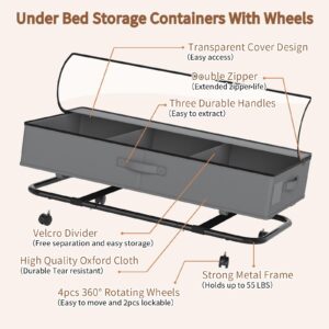 damynuo Under Bed Storage with Wheels - 2Pack Under Bed Storage Containers with Clear Lid and Handles, The Underbed Storage Bins Perfect for Under Bed Shoe Storage, Great Under Bed Drawers