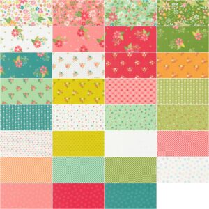 Strawberry Lemonade AB Bundle by Sherri & Chelsi, 31 18-inch by 22-inch Precut Fabric Fat Quarters