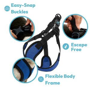 Gooby Comfort X Step in Lite Dog Harness - Choke Free, Escape Free with Light Breathable Mesh - Step in Dog Harness for Small and Medium Dogs - Quick Release Buckle, Metal D-Rings - Black, Large