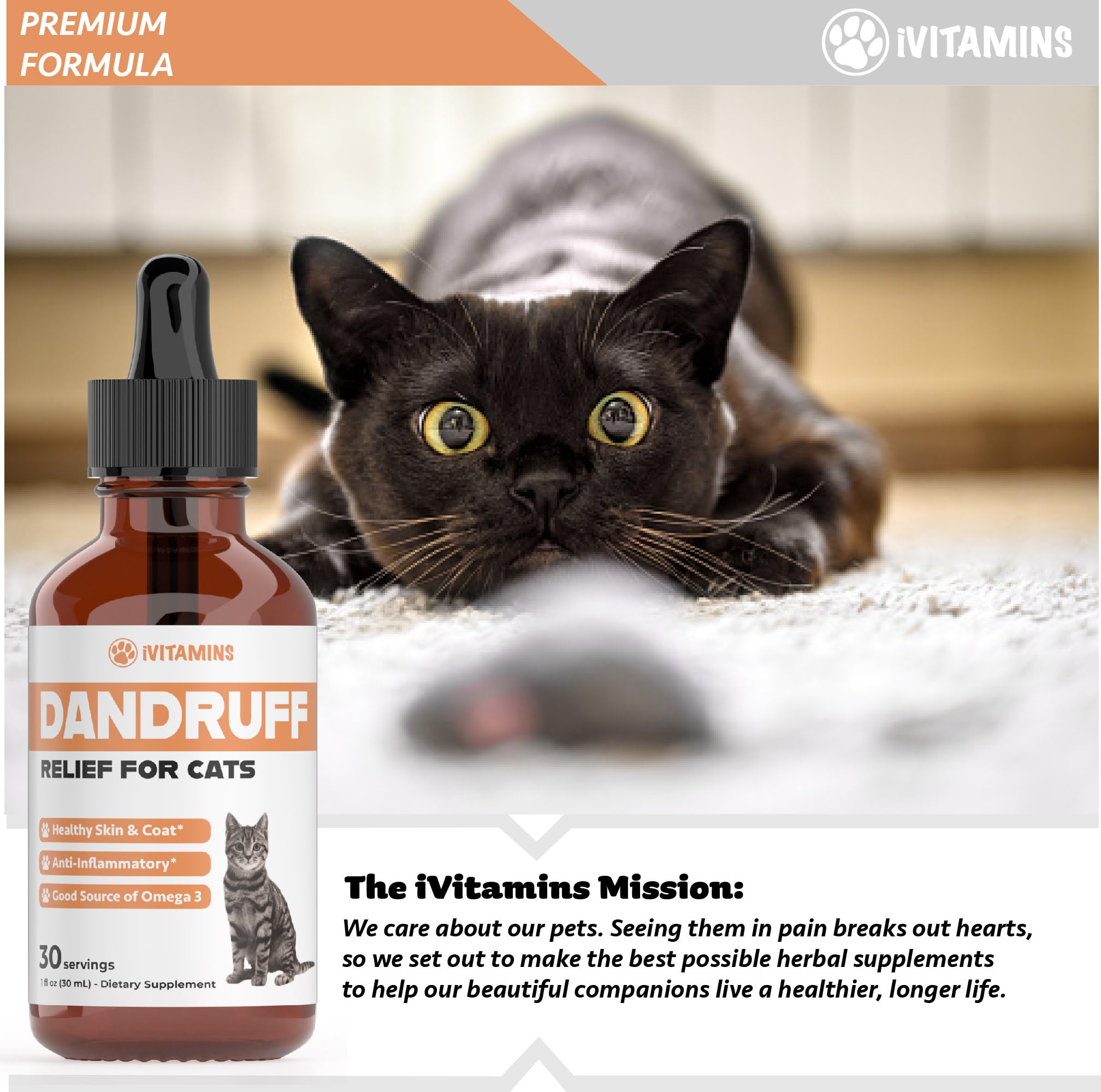 Cat Dandruff Treatment | Naturally Supports a Health Skin & Coat Health | Omega 3 for Cats | Cat Itchy Skin Relief | Allergy Relief for Cats | Cat Itchy Skin Relief | 1 fl oz