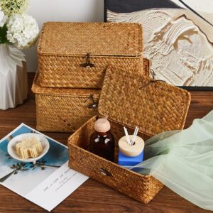 Shelf Baskets with Lid Wicker Baskets with Lids, Nautral Seagrass Storage Baskets, Woven Rectangular Basket Bins (3)