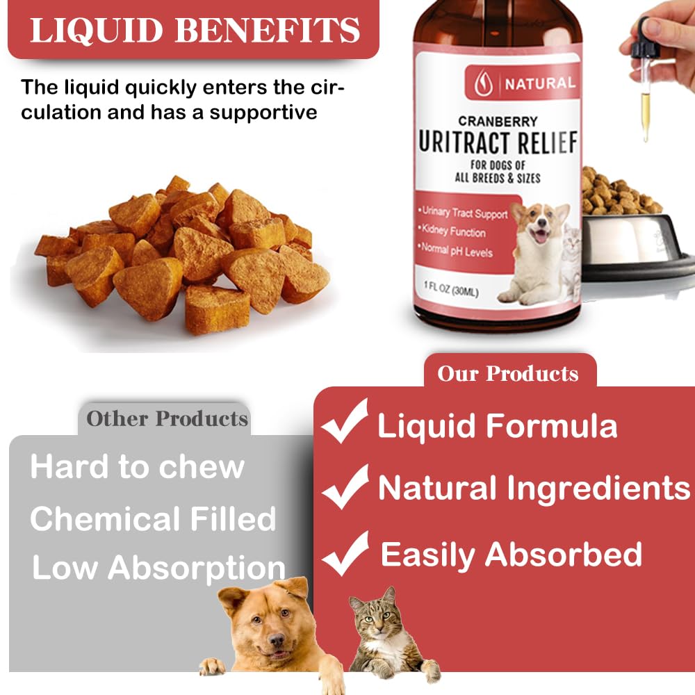 SZYCKJGS Dog UTI Treatment | Bladder Control for Dogs | Cranberry Supplement for Dogs | Pet Renal Health & UTI Care Drops | Cat Urinary Tract Infection Treatment | 1 fl oz