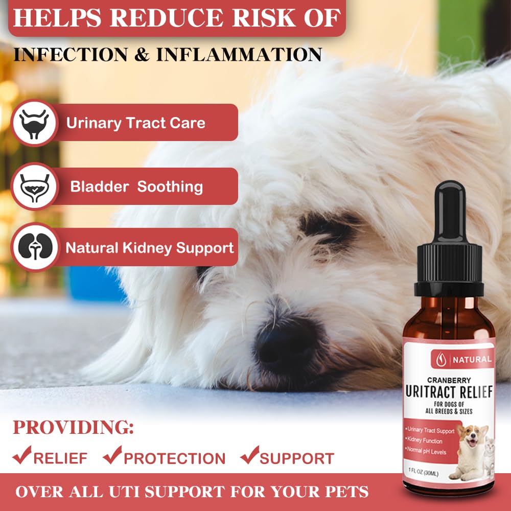 SZYCKJGS Dog UTI Treatment | Bladder Control for Dogs | Cranberry Supplement for Dogs | Pet Renal Health & UTI Care Drops | Cat Urinary Tract Infection Treatment | 1 fl oz