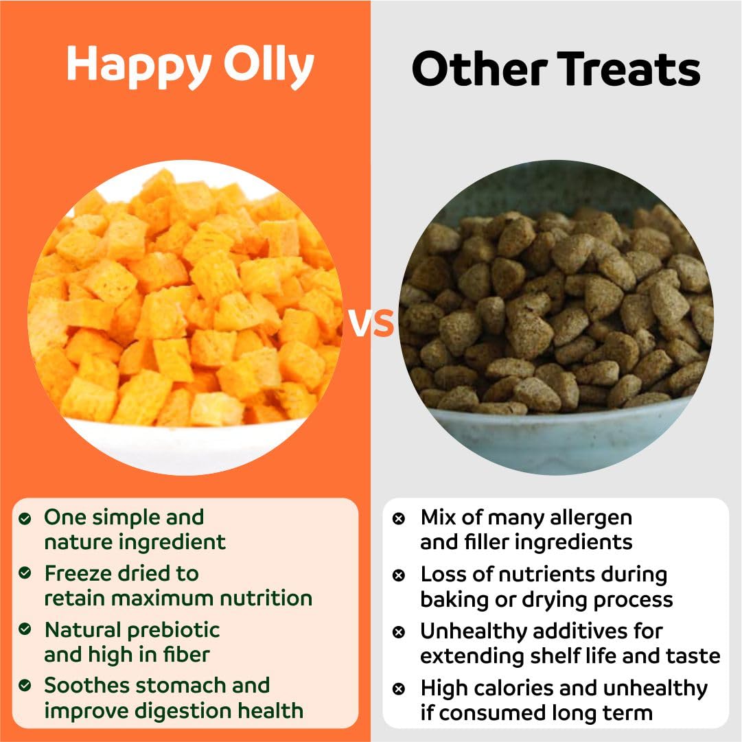 Happy Olly Pumpkin Treats for Dogs Digestion 2oz - Freeze Dried Pumpkin Treats/Topper, Reduce Dog Diarrhea and Scotting - Natural Single Ingredient Pure Pumpkin for Dogs - Prebiotics & Fiber