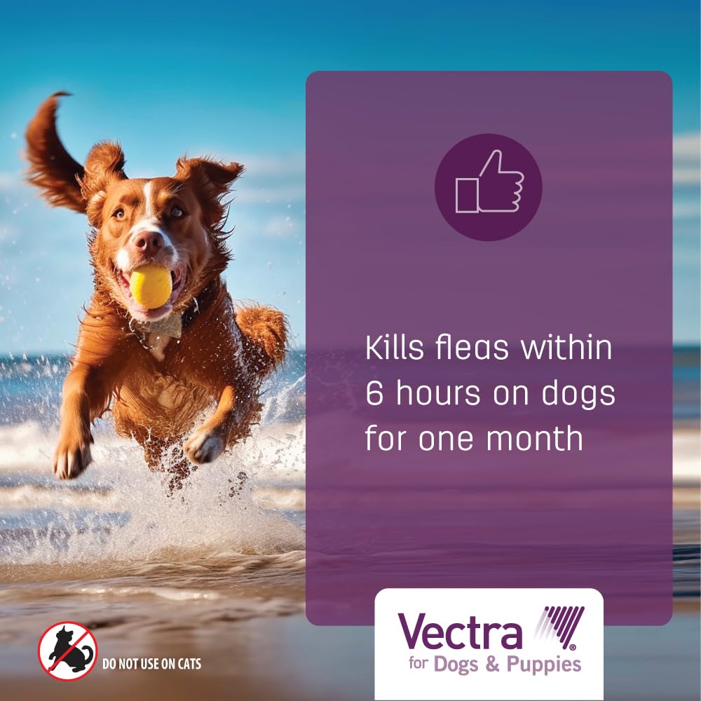 Vectra® for Dogs & Puppies Flea Treatment & Prevention for Extra Small Dogs (2.5 – 10 lbs.) 3-Month Supply