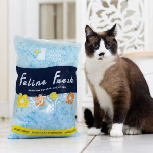 Feline Fresh Premium Crystal Cat Litter - Superior Odor Control, Absorbs 5X Faster, 99.9% Dust Free Low Tracking for Less Mess, Lasts up to 1 Month, 8.6 lbs (2 Pack of 4.3 lb Bags)