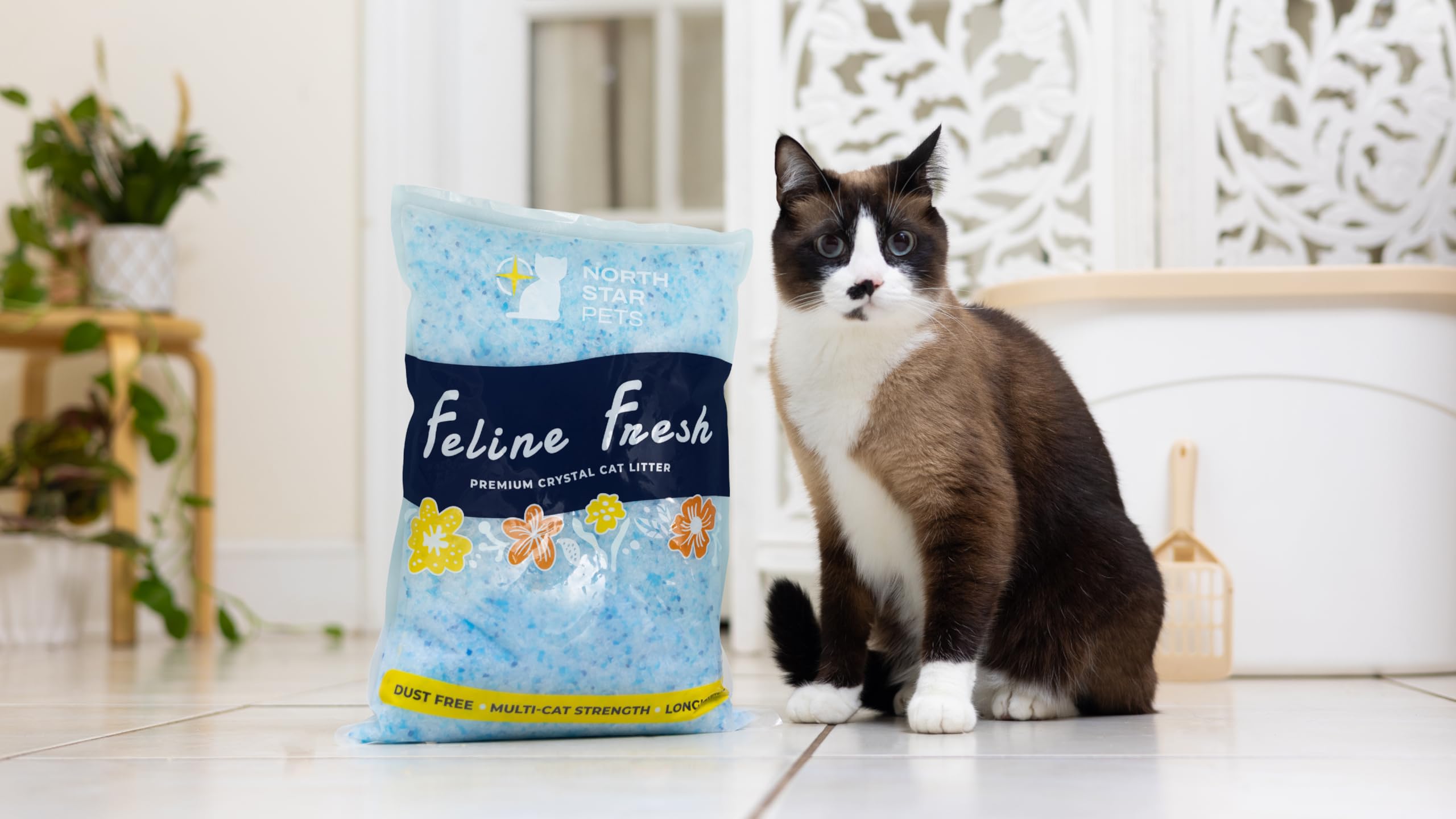 Feline Fresh Premium Crystal Cat Litter - Superior Odor Control, Absorbs 5X Faster, 99.9% Dust Free Low Tracking for Less Mess, Lasts up to 1 Month, 8.6 lbs (2 Pack of 4.3 lb Bags)