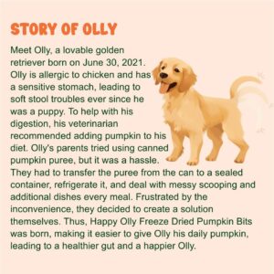 Happy Olly Pumpkin Treats for Dogs Digestion 2oz - Freeze Dried Pumpkin Treats/Topper, Reduce Dog Diarrhea and Scotting - Natural Single Ingredient Pure Pumpkin for Dogs - Prebiotics & Fiber