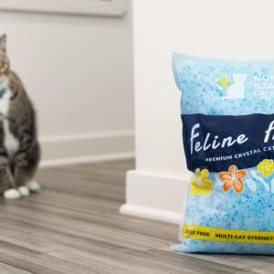 Feline Fresh Premium Crystal Cat Litter - Superior Odor Control, Absorbs 5X Faster, 99.9% Dust Free Low Tracking for Less Mess, Lasts up to 1 Month, 8.6 lbs (2 Pack of 4.3 lb Bags)