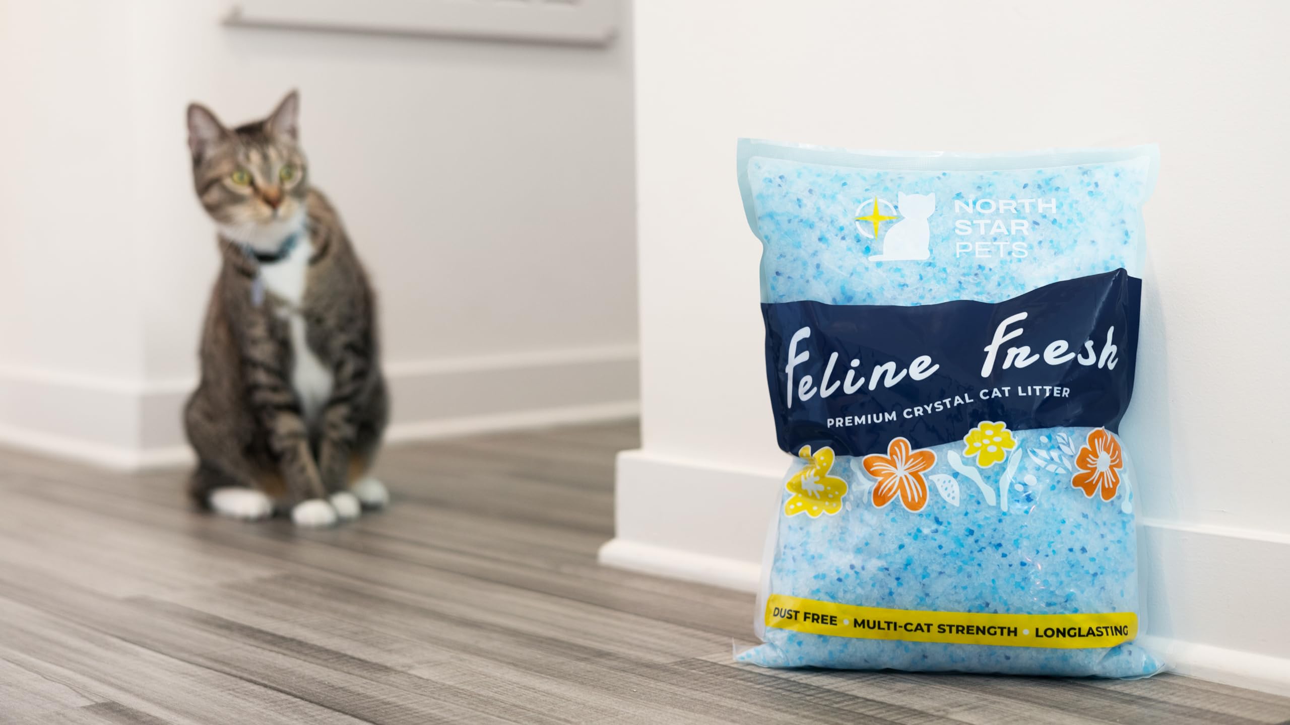 Feline Fresh Premium Crystal Cat Litter - Superior Odor Control, Absorbs 5X Faster, 99.9% Dust Free Low Tracking for Less Mess, Lasts up to 1 Month, 8.6 lbs (2 Pack of 4.3 lb Bags)