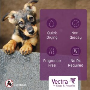 Vectra® for Dogs & Puppies Flea Treatment & Prevention for Extra Small Dogs (2.5 – 10 lbs.) 3-Month Supply