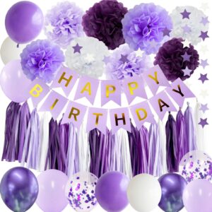 ansomo purple happy birthday party decorations dark light pastel purple lilac violet lavender white tissue paper pom poms tassel garland banner balloons décor supplies women girls her