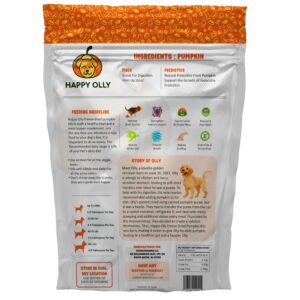 Happy Olly Pumpkin Treats for Dogs Digestion 2oz - Freeze Dried Pumpkin Treats/Topper, Reduce Dog Diarrhea and Scotting - Natural Single Ingredient Pure Pumpkin for Dogs - Prebiotics & Fiber