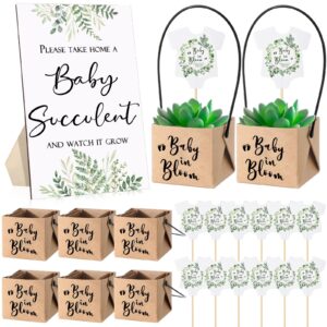 geetery 101 pcs baby shower party favors 1 baby shower decoration 50 baby in bloom tag 50 kraft paper succulent pots baby succulents favors for guest gift, not include plant (greenery)