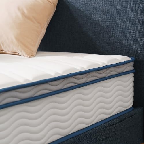 ZINUS 8 Inch Spring Sensation Hybrid Mattress [New Version], Queen, Fiberglass Free, Medium Firmness, Durable Support, Certified Safe Foams & Fabric, Mattress in A Box