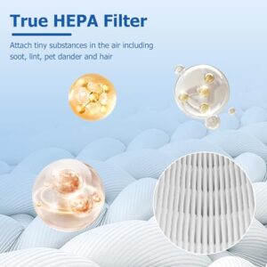 ROMON AP-T10FL Replacement Filter Compatible with Home-Dics AP-T10 AP-T10-WT AP-T10-BK Air Purifier, Part# AP-T10FL, 2 Pack, White