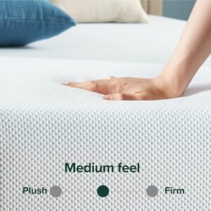 ZINUS 6 Inch Green Tea Cooling Memory Foam Mattress [New Version], Twin, Fiberglass Free, Medium Firmness, Cooling Gel Foam, Certified Safe Foams & Fabric, Mattress in A Box