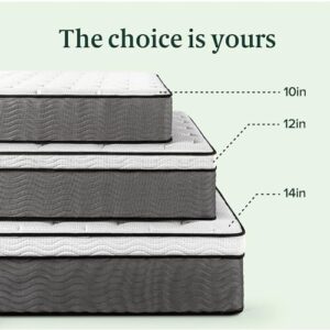 ZINUS 12 Inch True Support Hybrid Mattress [New Version], Full, Fiberglass Free, Medium Feel, Motion Isolation, Certified Safe Foams & Fabric, Mattress in A Box