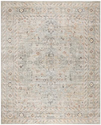 Nourison Oushak Home Traditional Light Grey 8' x 9'10" Area -Rug, Easy -Cleaning, Non Shedding, Bed Room, Living Room, Dining Room, Kitchen (8x10)