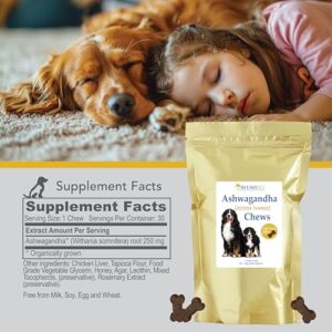 Ayush Pet Ashwagandha Calming Support Chews, Ayurvedic Calming Supplement for Dogs and Cats, Ashwagandha Herbal Supplement, 30 Chews