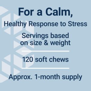 Life Extension Dog Stress & Behavior Soft Chews - Calming Dog Health Supplement - Promotes Relaxation, Calm Behavior and Stress Relief - Melatonin and L-theanine -120 Soft Chews, Bacon Flavor