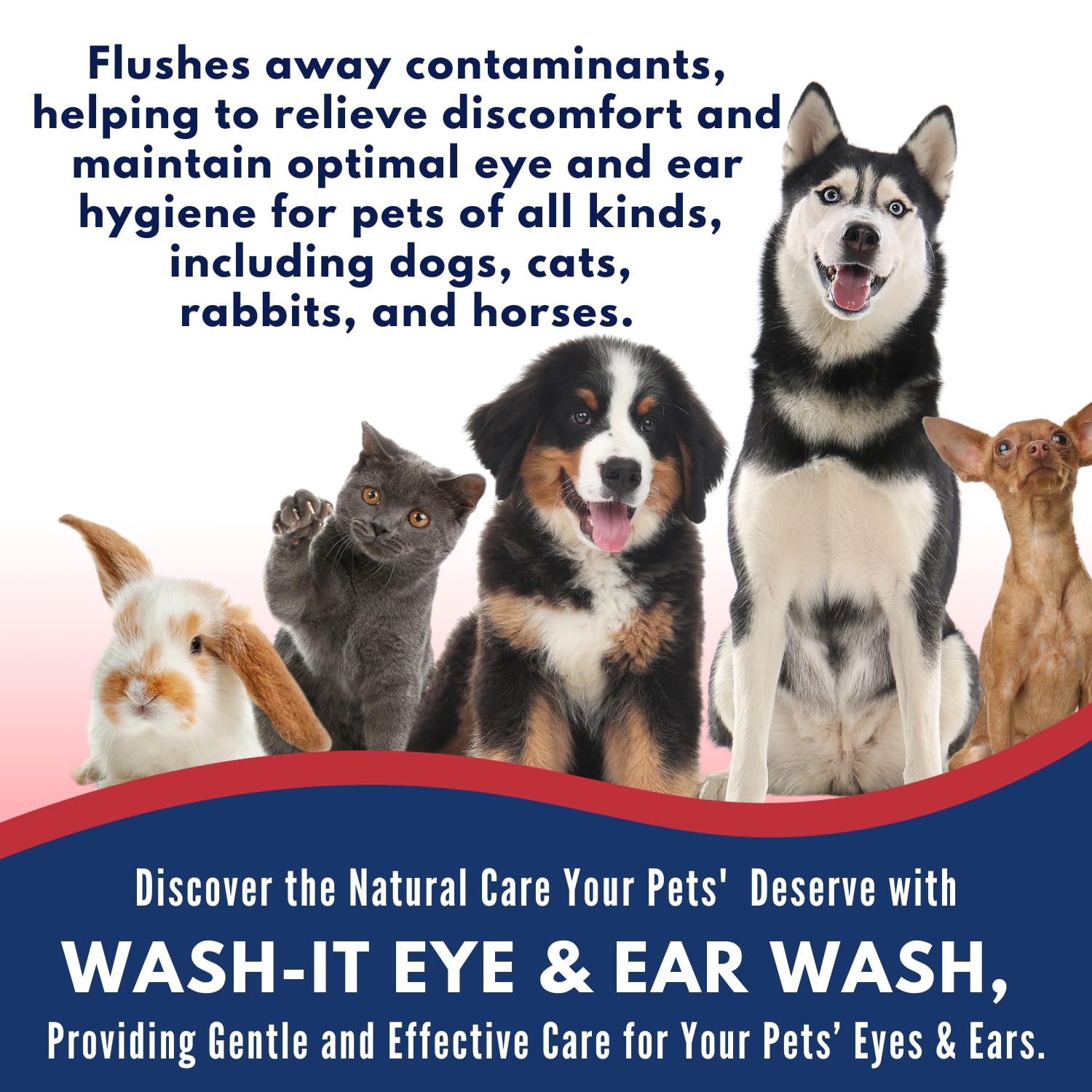 Wash-It Eye and Ear Wash for Pets to Flush Out Contaminants, Irritations & Dirt | US-Made Dog Ear Wash & Tear Stain Remover with Hypochlorous Acid for Rapid Care with No Irritation (4oz)