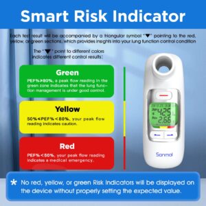 Spirometer with Risk Indicator & 300 Records Storage Function, Portable Peak Flow Meter with Tracking App and Bluetooth Tests PEF & FEV1, Asthma COPD & Other Lung Conditions Monitor for Kids Adults