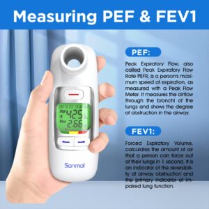 Spirometer with Risk Indicator & 300 Records Storage Function, Portable Peak Flow Meter with Tracking App and Bluetooth Tests PEF & FEV1, Asthma COPD & Other Lung Conditions Monitor for Kids Adults