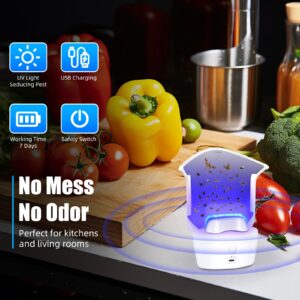 Upgraded Fly Traps Indoor for Home,Flying Insect Trap for Mosquito,Fruit Flies,Moth,Gnat,2-in-1 Rechargeable Fly Catcher with USB Charging Bug Light Trap Indoor with 6 Refills,Indoor Outdoor Camp Use