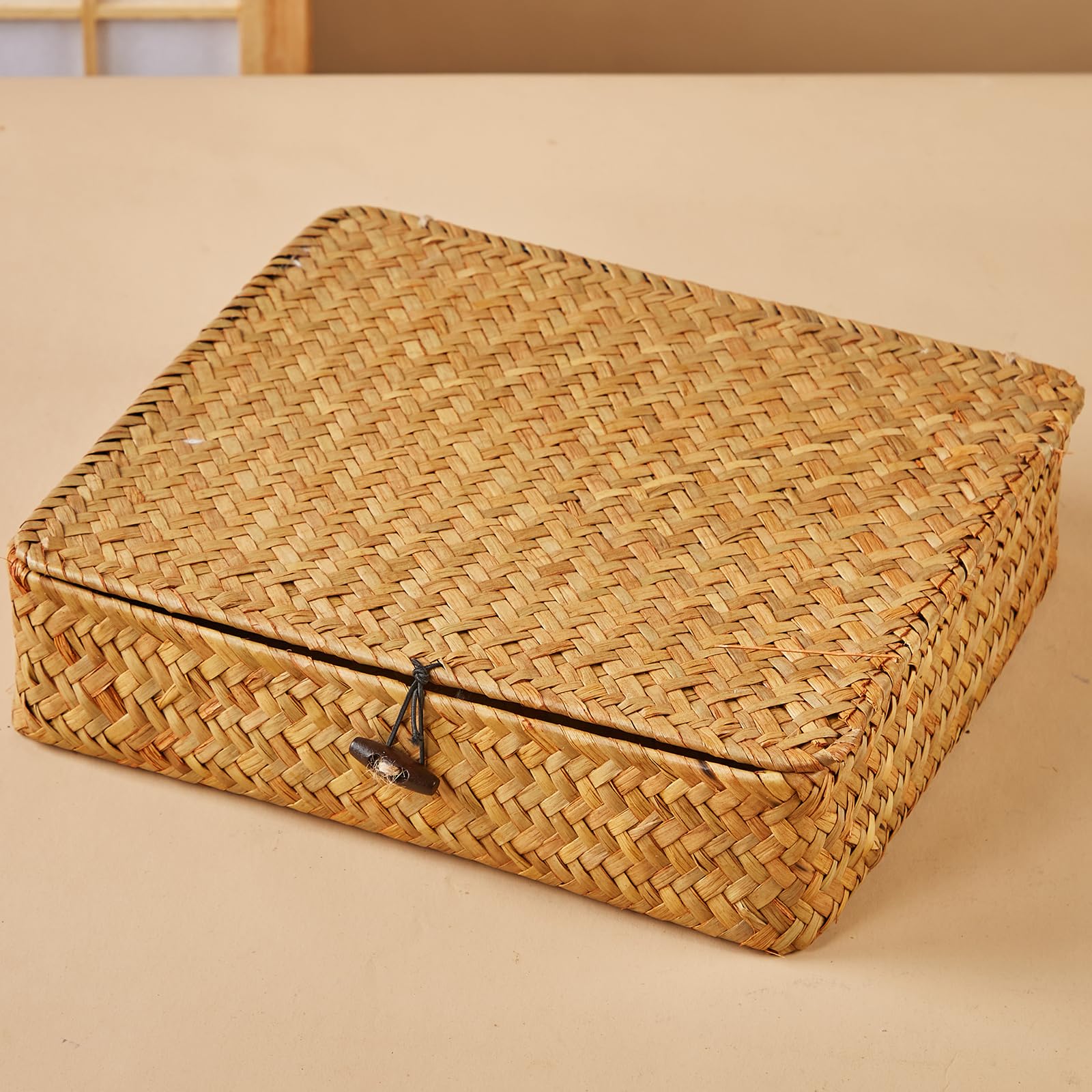 Flat Seagrass Storage Basket Bins with Lid - Set of 2 Wicker Baskets Bins Rectangular Woven Baskets Box Home Organizer Bins for Shelf Organizing, Large Size 13"x11"