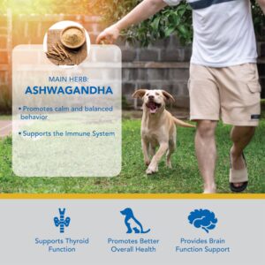 Ayush Pet Ashwagandha Calming Support Chews, Ayurvedic Calming Supplement for Dogs and Cats, Ashwagandha Herbal Supplement, 30 Chews