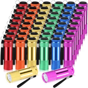 vihose 48 pcs mini flashlights bulk, bright aluminum handheld flash light with lanyard, small led flashlights for kids night reading emergency hurricane camping hiking party favors(classic color)