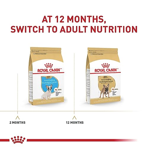 Royal Canin French Bulldog Puppy Dry Dog Food, 10.5 lb Bag