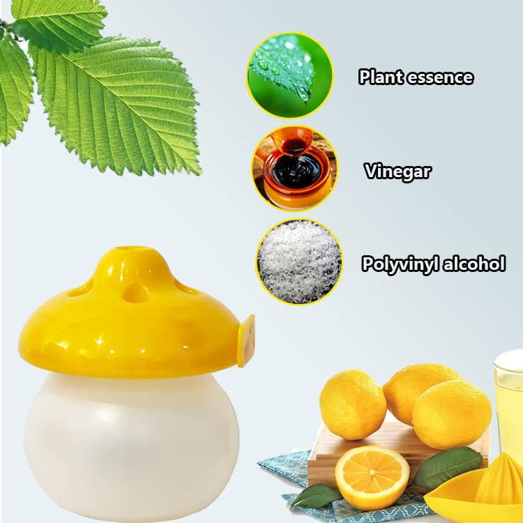 Tradeinc Enterprises Indoor Fruit Fly Trap - Fungus Gnat Pest Control Sticky Traps for House Kitchen Flies Insect Bug Catcher