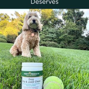 Purity Products Dog Hip and Joint Advanced Support Chews MSM, Glucosamine, Chondroitin & Perna (Green-Lipped Mussel) - Supports Canine Cartilage Health, Mobility, Flexibility & Comfort - 60 Chews