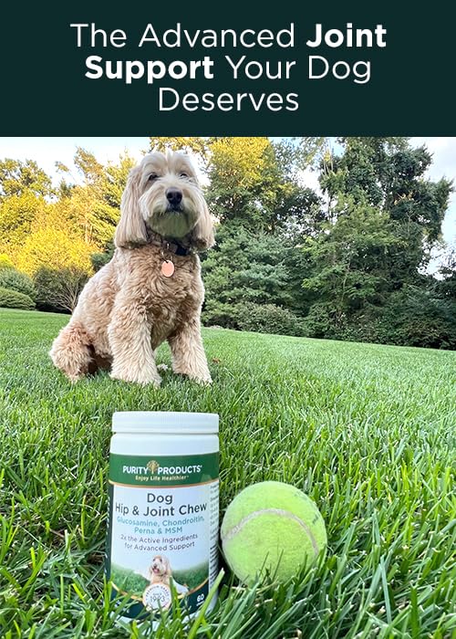 Purity Products Dog Hip and Joint Advanced Support Chews MSM, Glucosamine, Chondroitin & Perna (Green-Lipped Mussel) - Supports Canine Cartilage Health, Mobility, Flexibility & Comfort - 60 Chews