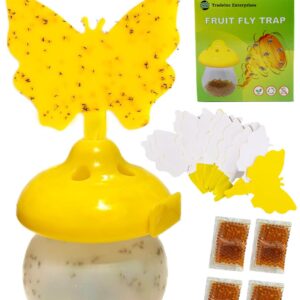 Tradeinc Enterprises Indoor Fruit Fly Trap - Fungus Gnat Pest Control Sticky Traps for House Kitchen Flies Insect Bug Catcher