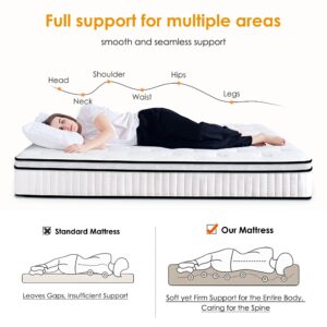 SogesSleep Queen Mattress, 10 Inch Hybrid Queen Mattress in a Box, Individual Pocket Spring Bed Mattress, Medium Firm Mattress for Pressure Relief, Strong Edge Support, CertiPUR-US & Fiberglass Free