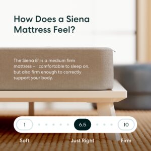 Siena 8” Twin XL Gel Memory Foam Mattress - Medium Firm - 180 Night Trial - Premium Pressure-Relieving Layers - 10 Year Manufacturer Warranty - CertiPUR-US® Certified