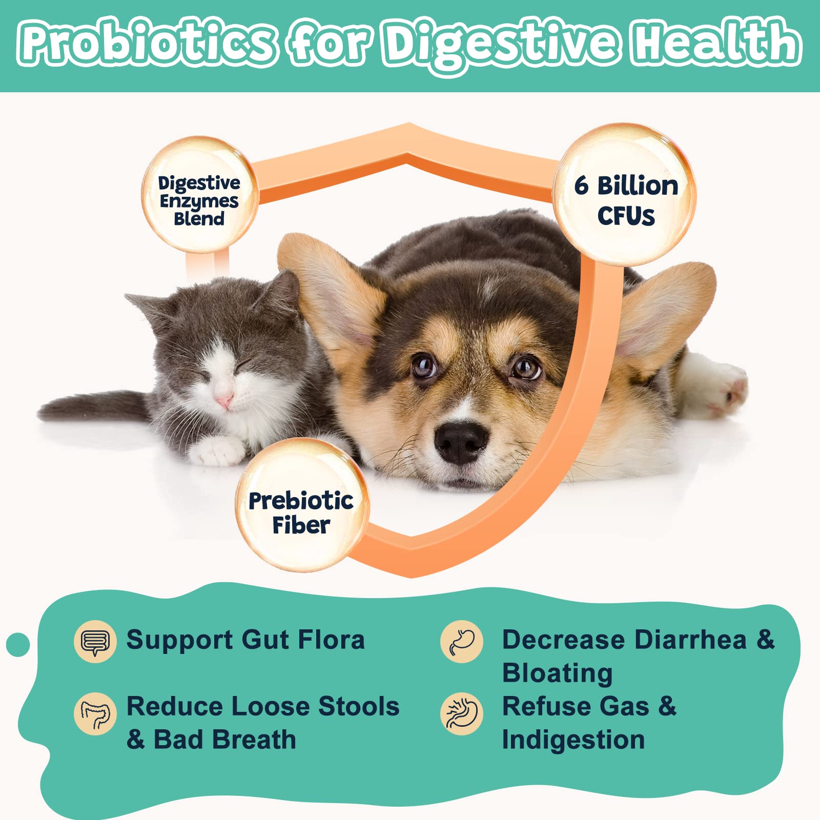 Probiotics for Dogs Digestive Health with Dog Multivitamin Powder