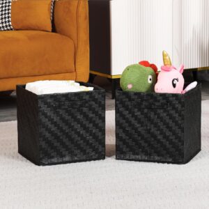 HODJOY Cube Storage Organizer, Handwoven Storage Cubes for Shelves, Recycled Paper Rope Foldable Storage Basket with Handles, Pack of 2, 11''*11''*11" (Black)