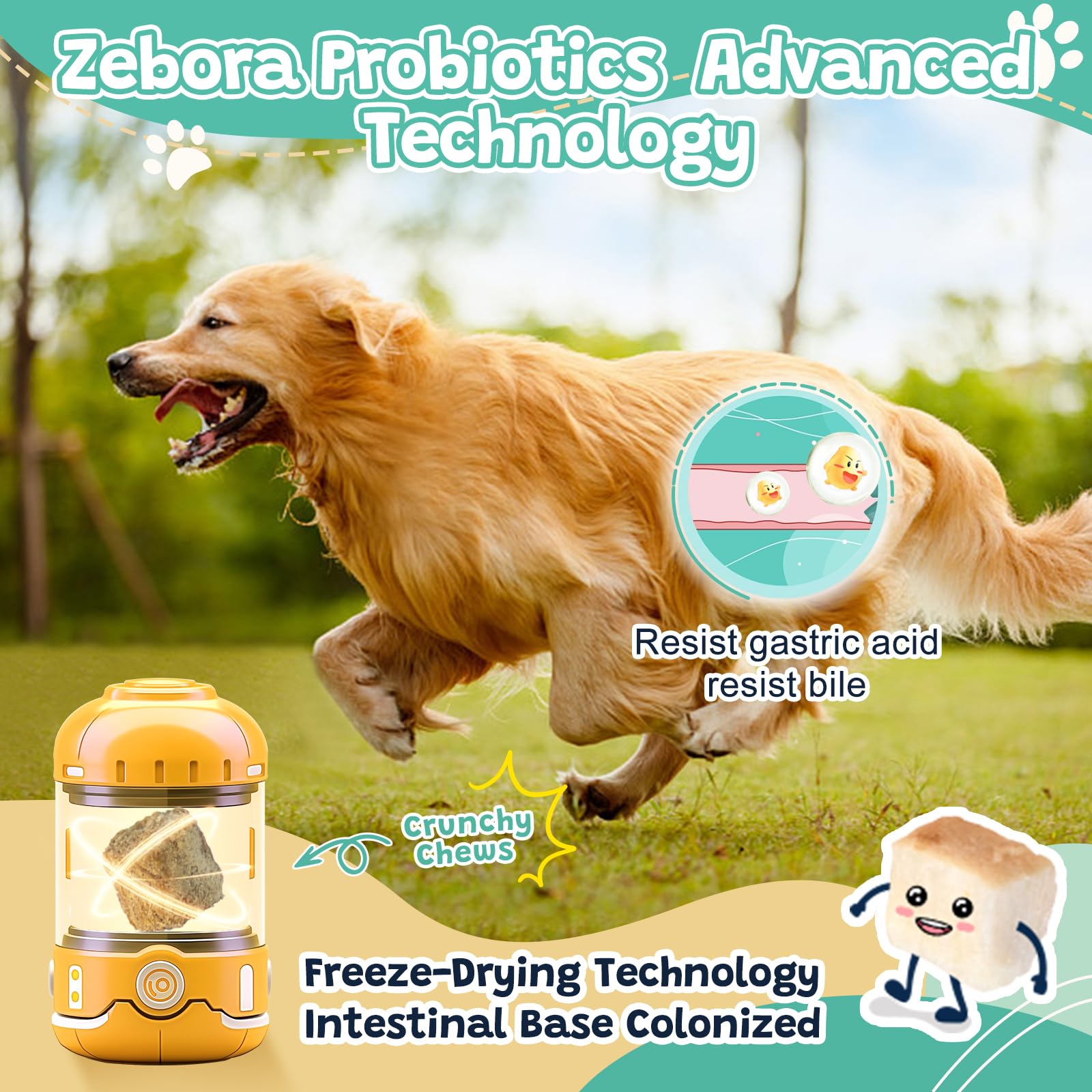 Probiotics for Dogs Digestive Health with Dog Multivitamin Powder