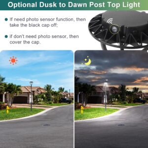 LED Post Top Pole Light with Dusk to Dawn Photocell, 20W/30W/40W/60W Wattage Selectable, 3000K/4000K/5000K CCT Tunable, LED Garden Area Lights for Pathway IP65 Waterproof