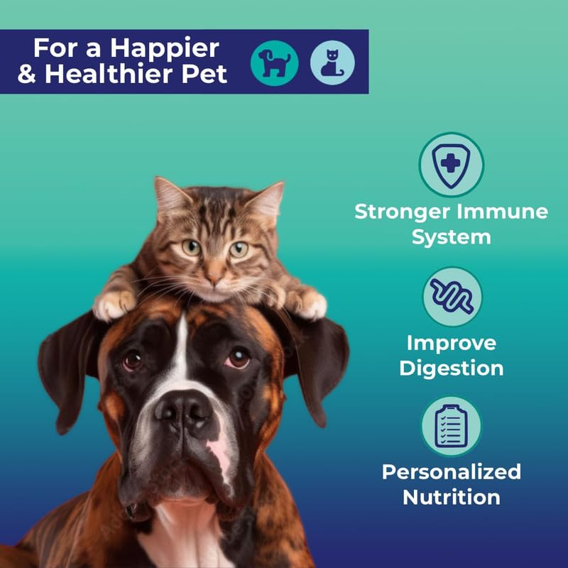 Innovative Pet Lab Basic Gut Health Test Kit for Dogs & Cats - at-Home Stool Test for Underlying Digestion & Immune Symptoms Like Diarrhea, Mood, Itchy Skin, GI Discomfort - Easy Non-Invasive Testing