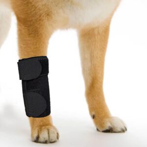 genetgo dog canine front leg brace paw compression sleeve joint wraps - protects wounds stop licking & prevents injuries, sprains helps with loss of stability from arthritis - medium